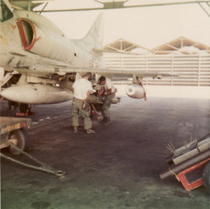 Snake and Nape 12 68